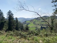Passo del Prugno von Casola Valsenio