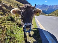 Passo del Rombo