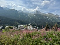 Passo del San Bernardino from Lostallo