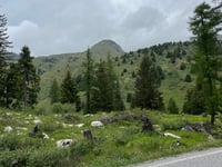 Passo del Tonale from Edolo