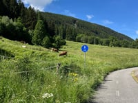 Passo del Tonale from Edolo