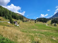 Passo del Tonale da Edolo