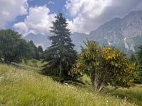 Passo del Vivione from Dezzo di Scalve