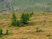 Passo del Vivione