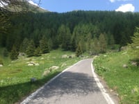 Passo del Vivione