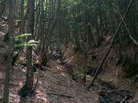 Passo della Calla von Corniolo