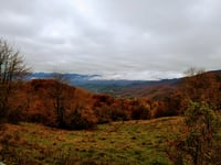 Passo della Cisa por Montelungo