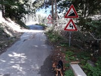 Passo della Forcella desde Ovaro