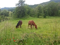 Passo delle Pratole da Maciano via Strada per Soanne