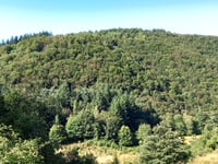 Passo delle Terre Rosse from Badia Prataglia