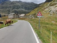 Passo dello Spluga da Chiavenna via Isola