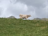 Passo dello Spluga z Chiavenna