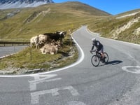 Stilfser Joch von Bormio