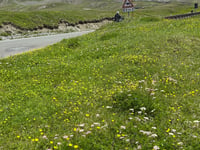 Stilfser Joch von Bormio