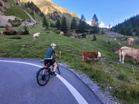 Paso Stelvio desde Santa Maria Val Müstair