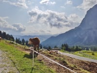 Passo Gardena