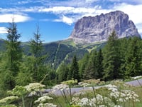 Passo Gardena from Plan de Gralba
