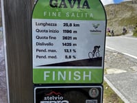 Paso Gavia desde Bormio