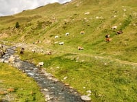 Paso Gavia desde Bormio