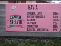 Paso Gavia desde Bormio