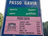 Paso Gavia desde Bormio