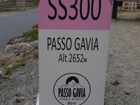 Paso Gavia desde Ponte di Legno