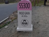 Paso Gavia desde Ponte di Legno