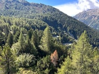 Passo del Maloja from Chiavenna