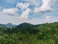 Passo di Pradarena via Carù