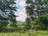 Passo di Pradarena via Carù