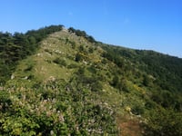 Passo di Teglia von Pieve di Teco