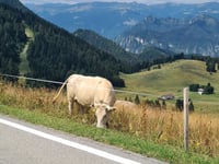 Passo di Tremalzo da Passo d'Ámpola