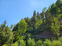 Passo di Zambla da Ponte Nossa