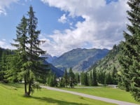 Passo Falzarego from Caprile