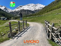 Passo Forcola di Livigno desde Livigno