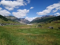 Passo Forcola di Livigno from Tirano