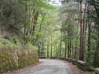 Passo Gouta von Pigna