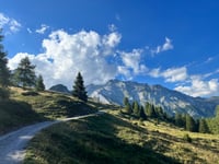 Kunkelspass desde Tamins
