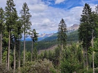 Passo Lavazè von Birchabruck