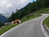 Passo Manghen depuis Borgo Valsugana