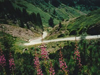 Passo Manghen da Borgo Valsugana