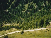 Passo Manghen da Borgo Valsugana