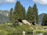 Passo Manghen von Castelnuovo über Telve