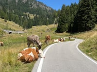 Passo Manghen von Castelnuovo über Telve
