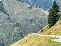 Passo Manghen da Molina di Fiemme