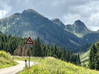 Passo Manghen da Molina di Fiemme