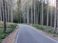 Passo Manghen from Molina di Fiemme