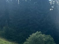 Passo Marilleva von Marilleva 900