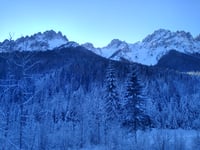 Passo Mauria da Forni di Sotto