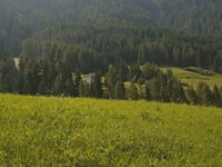 Panidersattel von Kastelruth